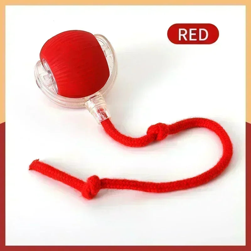 Interactive Cat Toy Ball Automatic Rolling Electric Self-Moving Kitten Teaser USB Rechargeable Simulated Mouse Pet Toy Indoor