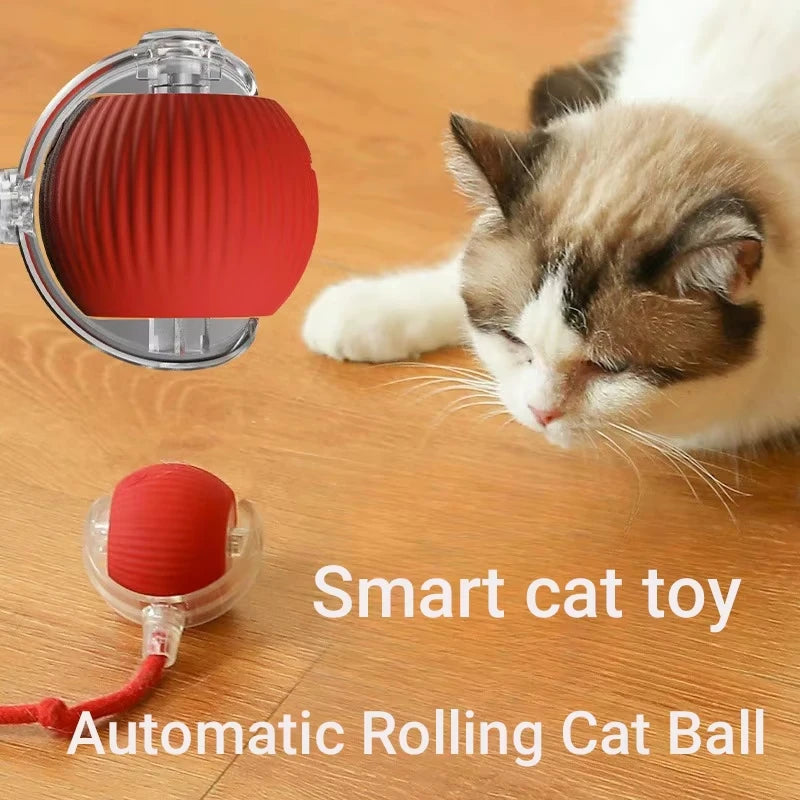 Interactive Cat Toy Ball Automatic Rolling Electric Self-Moving Kitten Teaser USB Rechargeable Simulated Mouse Pet Toy Indoor
