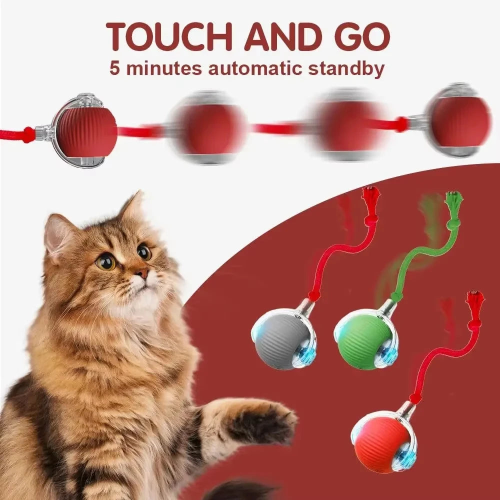 Interactive Cat Toy Ball Automatic Rolling Electric Self-Moving Kitten Teaser USB Rechargeable Simulated Mouse Pet Toy Indoor